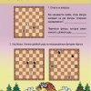 "Шахматы для дошкольников и младших школьников. Часть 2" Абрамов С, Касаткина В. - «globural.ru» - Краснознаменск