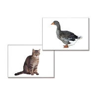 Дидактическое пособие "Домашние животные" (24 карточки, А4, ламинированное) - «globural.ru» - Краснознаменск