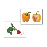 Дидактическое пособие "Овощи" (24 карточки, А4, ламинированное) - «globural.ru» - Краснознаменск