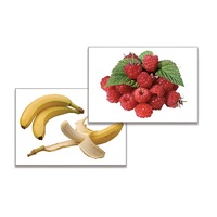 Дидактическое пособие "Фрукты, ягоды, орехи" (24 карточки, А4, ламинированные) - «globural.ru» - Краснознаменск