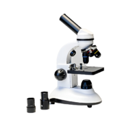 Микроскоп школьный (с подсветкой) - «globural.ru» - Краснознаменск