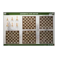 Электрифицированный стенд "Шахматы для детей" - «globural.ru» - Краснознаменск