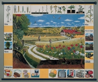 Магнитный плакат "Природное сообщество поля" - «globural.ru» - Краснознаменск