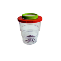 Коробка для изучения насекомых с лупой (вариант 2) - «globural.ru» - Краснознаменск