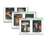 Комплект таблиц раздаточных "Грибы съедобные и несъедобные" - «globural.ru» - Краснознаменск