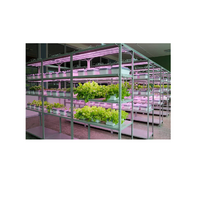 Обучающий комплект "АГРОкласс" - «globural.ru» - Краснознаменск