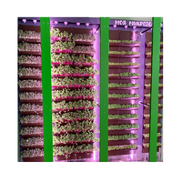 Вертикальная ферма "Моя Микрозелень" комплектация Школьная - «globural.ru» - Краснознаменск