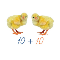 Счетный материал на магнитах "Цыплята". - «globural.ru» - Краснознаменск