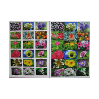 Английское лото "Цветы - травы" - «globural.ru» - Краснознаменск