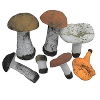 Набор муляжей грибов 7 штук - «globural.ru» - Краснознаменск