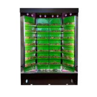 Вертикальная ферма "Моя Микрозелень" комплектация "Театро настольная" - «globural.ru» - Краснознаменск