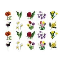 Комплект карточек. Серия наглядных пособий "Запоминай, играй, считай". Цветы. - «globural.ru» - Краснознаменск