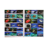 Английское лото "Подводный мир" - «globural.ru» - Краснознаменск