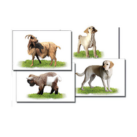 Набор карточек "Домашние животные" (раздаточные) - «globural.ru» - Краснознаменск