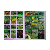 Английское лото "Насекомые" - «globural.ru» - Краснознаменск