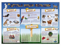 Стенд-уголок "Друзья наши меньшие" - «globural.ru» - Краснознаменск