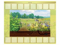 Магнитно-маркерный плакат "Луга" с набором магнитных карточек + методические рекомендации - «globural.ru» - Краснознаменск