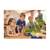 Обучающий комплект экологической направленности "Сити-фермер 2.0 Детский сад" 30 человек - «globural.ru» - Краснознаменск