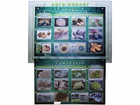 Комбинированный модульный комплекс "Лого-биолог" - «globural.ru» - Краснознаменск