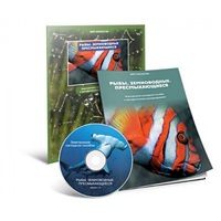 Электронное наглядное пособие «Рыбы. Земноводные. Пресмыкающиеся» - «globural.ru» - Краснознаменск