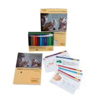 Методическое пособие Cuboro – думай креативно - «globural.ru» - Краснознаменск