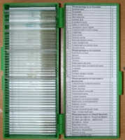 Набор микропрепаратов по основным курсам биологии - «globural.ru» - Краснознаменск