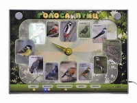 Электрифицированный стенд-часы "Голоса птиц" с комплектом дидактического материала - «globural.ru» - Краснознаменск