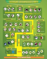 Стенд "Эволюция органического мира" - «globural.ru» - Краснознаменск