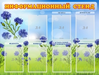 Стенд информационный с 7 карманами - «globural.ru» - Краснознаменск