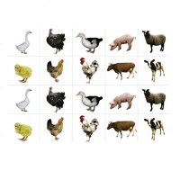 Комплект карточек. Серия наглядных пособий "Запоминай, играй, считай". Домашние животные - «globural.ru» - Краснознаменск