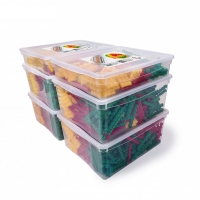 Учебно-методический комплект для конструирования «Максикластика-2» - «globural.ru» - Краснознаменск