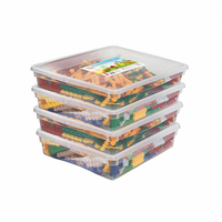 Набор для конструирования «Фанкластик: весь мир в руках твоих 4 (4-5 лет)» - «globural.ru» - Краснознаменск