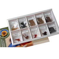 Коллекция "Плоды сельскохозяйственных растений" (вариант 2) - «globural.ru» - Краснознаменск