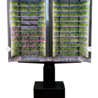 Вертикальная  ферма «Моя микрозелень» комплектация  «Театро настенная» - «globural.ru» - Краснознаменск