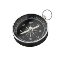 Компас (вариант 1) - «globural.ru» - Краснознаменск