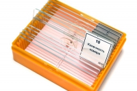 Набор микропрепаратов N10 - «globural.ru» - Краснознаменск