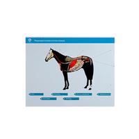 Стенд-планшет светодинамический "Изучение пищеварительной системы сельскохозяйственных животных" со сменными панелями - «globural.ru» - Краснознаменск