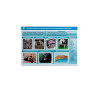 Стенд-планшет светодинамический «Острые отравления животных лекарственными препаратами» - «globural.ru» - Краснознаменск