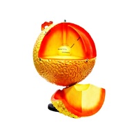 Модель "Строение Солнца" (разборная) - «globural.ru» - Краснознаменск