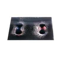 Набор «Эксперименты с магнитным полем» - «globural.ru» - Краснознаменск