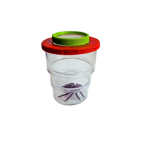 Коробка для изучения насекомых с лупой (вариант 2) - «globural.ru» - Краснознаменск