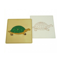 Строение черепахи с контуром - «globural.ru» - Краснознаменск