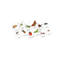 Фланелеграф "Насекомые" - «globural.ru» - Краснознаменск