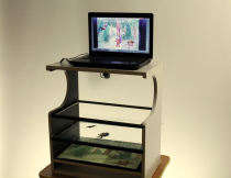 Мультстанок для перекладной анимации  - «globural.ru» - Краснознаменск