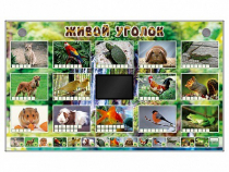 Комплект оборудования "Живой уголок" (животные) - «globural.ru» - Краснознаменск