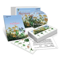 Комбинированное наглядное пособие «Растения» - «globural.ru» - Краснознаменск