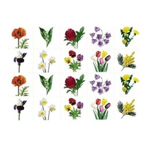 Комплект карточек. Серия наглядных пособий "Запоминай, играй, считай". Цветы. - «globural.ru» - Краснознаменск