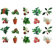 Комплект карточек. Серия наглядных пособий "Запоминай, играй, считай". Ягоды. - «globural.ru» - Краснознаменск