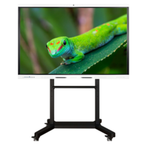 Интерактивный комплекс Geckotouch ​​​​​​​65RK - «globural.ru» - Краснознаменск