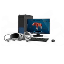 Интерактивный учебный комплекс «Анатомия Свиньи» - «globural.ru» - Краснознаменск